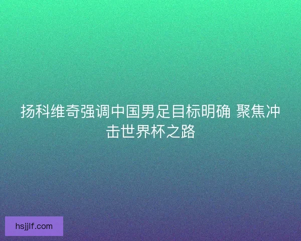 扬科维奇强调中国男足目标明确 聚焦冲击世界杯之路
