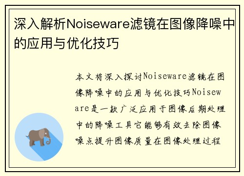 深入解析Noiseware滤镜在图像降噪中的应用与优化技巧